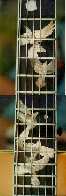 guitar neck inlay
